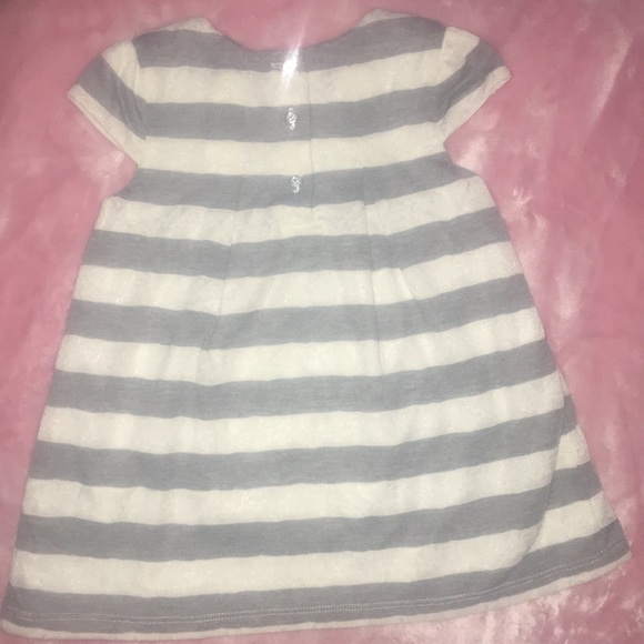 Savannah - Picture 3 of 4